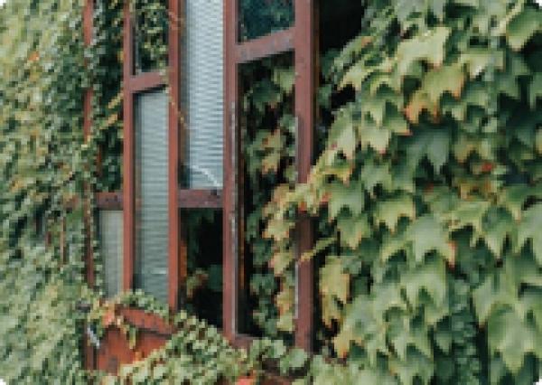 Glass partitions
